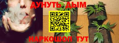 индика Кандалакша