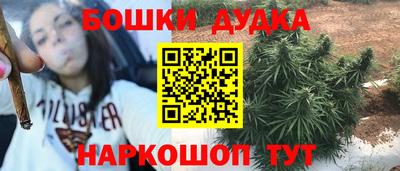 индика Кандалакша