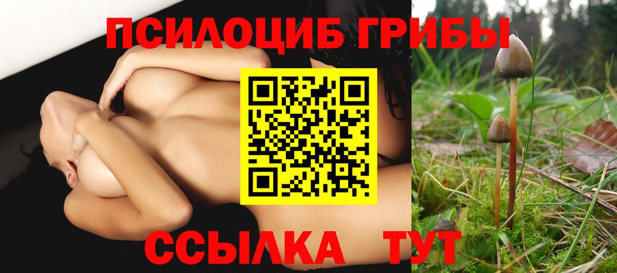Ленинск-Кузнецкий  Псилоцибиновые грибы мицелий  Вход с VPN  Галлюциногенные грибы прущие грибы 